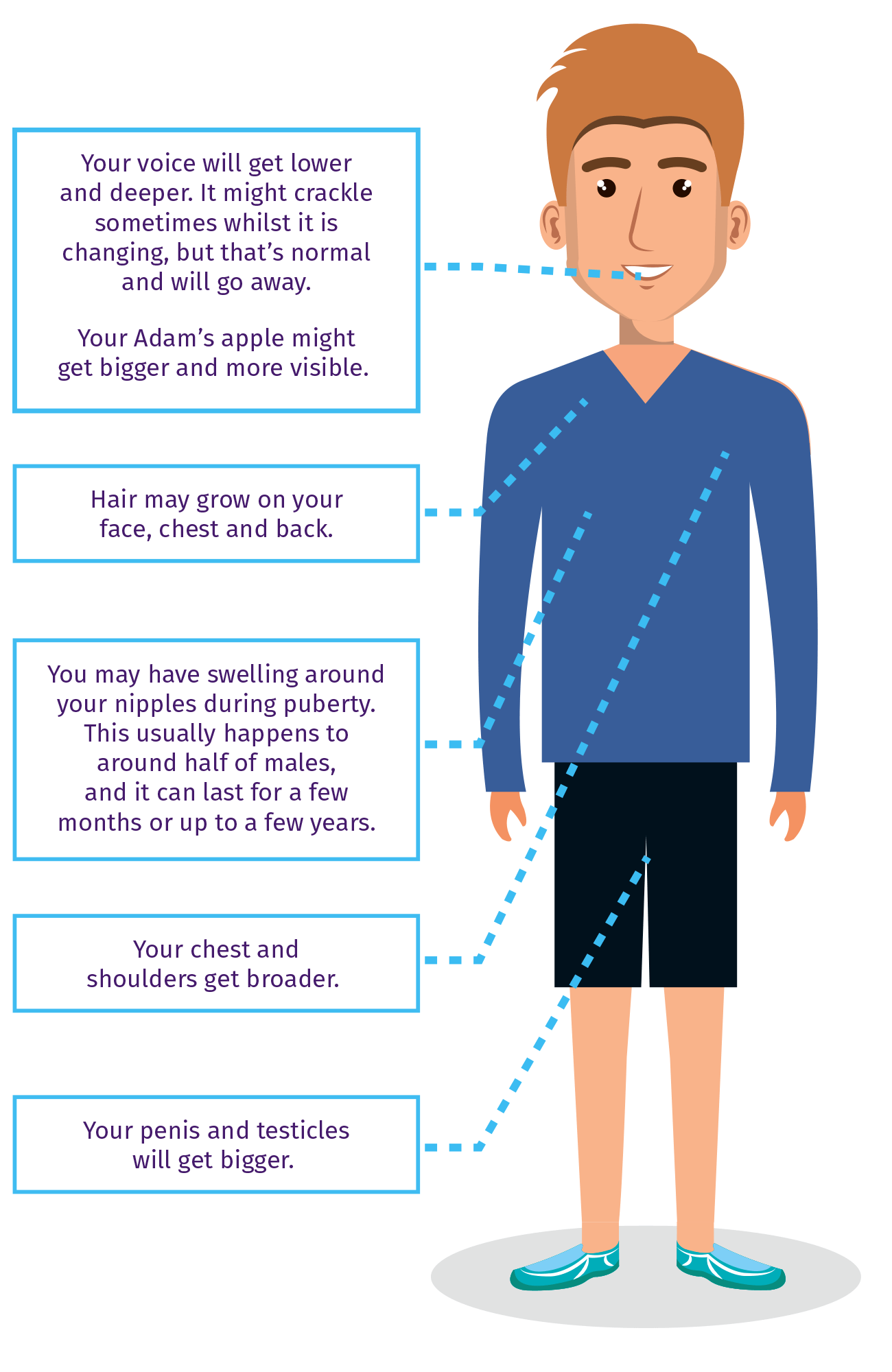 Puberty changes in males